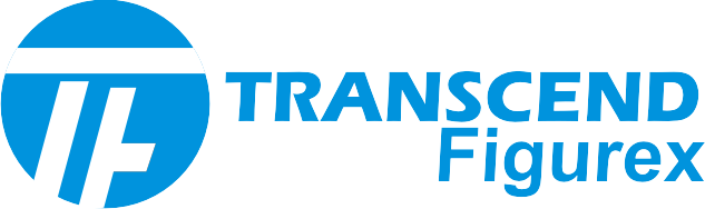 Transcend Figurex